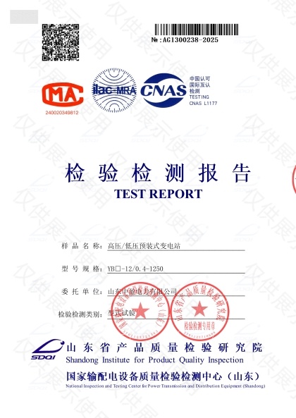 YB-1250检验检测报告