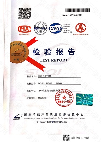 S13-M-2500检验报告