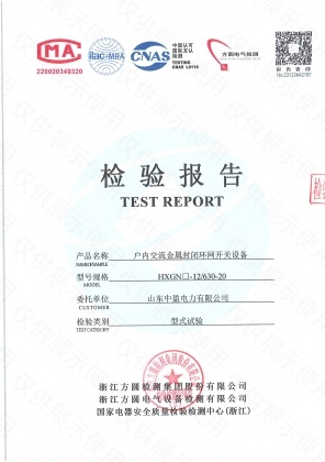 HXGN Indoor AC Metal-Enclosed Ring Main Unit (Incoming Line)