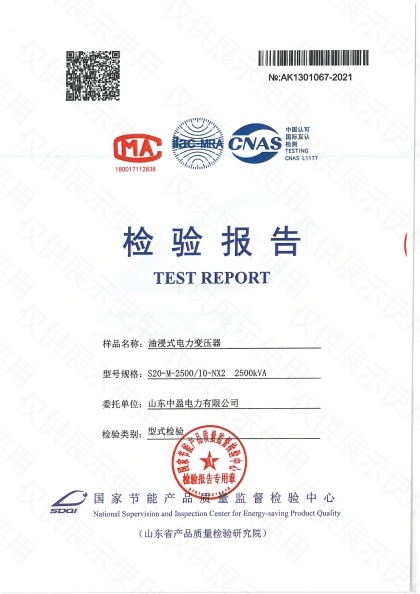 S20-M-2500检验报告