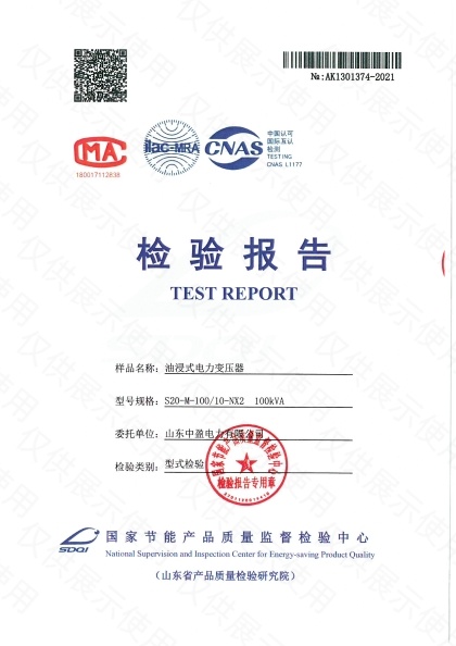 S20-M-100检验报告