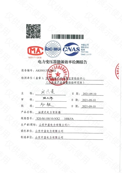 S20-M-100能效报告