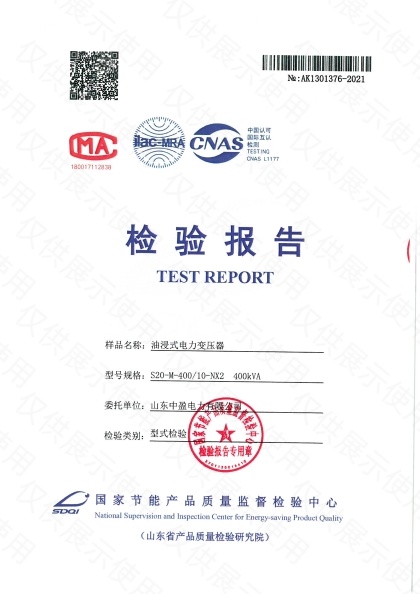 S20-M-400检验报告
